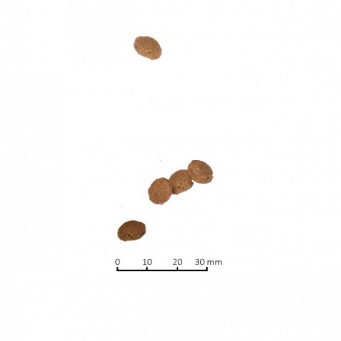 <p><strong>M&acirc;ncare pentru pisici Farmina ND Cat Fish,&nbsp;Orange Adult,&nbsp;cu peste si portocala&nbsp;cu boabe scăzute 1.5 kg</strong></p>