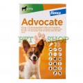 Advocate
