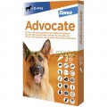 Advocate