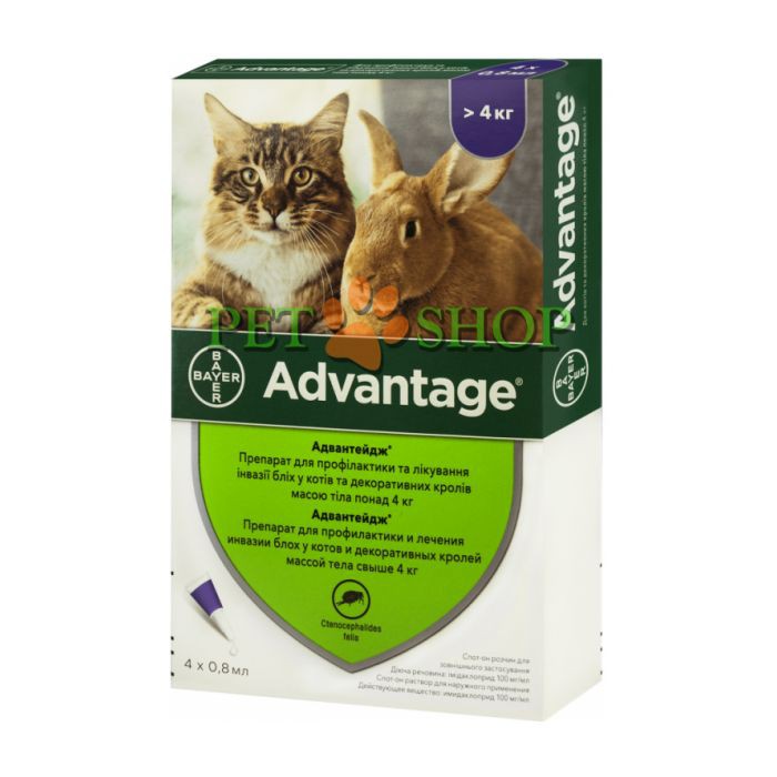 <p><strong>Капли на холку от блох для кошек крупных пород и декоративных кроликов весом свыше 4 кг. Эффективно уничтожает паразитов, а также защищает животное от повторного заражения блохами на протяжении 4 недель, 1 пипетка</strong></p>