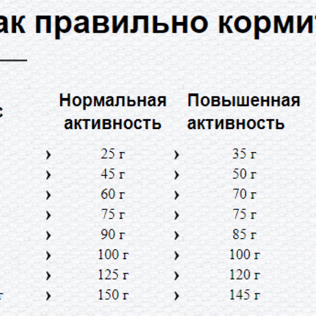 <p><strong>Happy Dog Supreme Mini Piemonte&nbsp;4 кг&nbsp;для мелких пород с&nbsp;итальянскими пищевыми каштанами, уткой и морской рыбой.</strong></p>