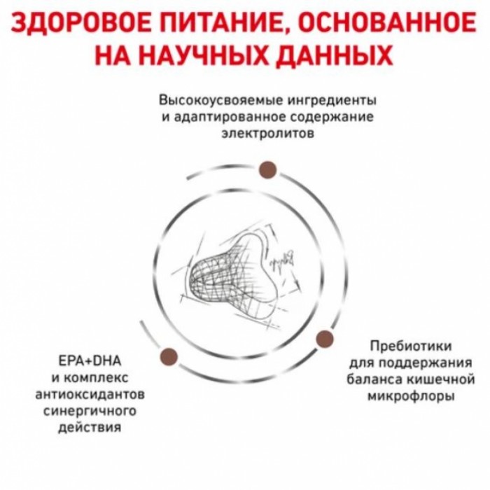 <p><strong>Корм сухой полнорационный с повышенным содержанием клетчатки для кошек при запорах. Ветеринарная диета.</strong></p>