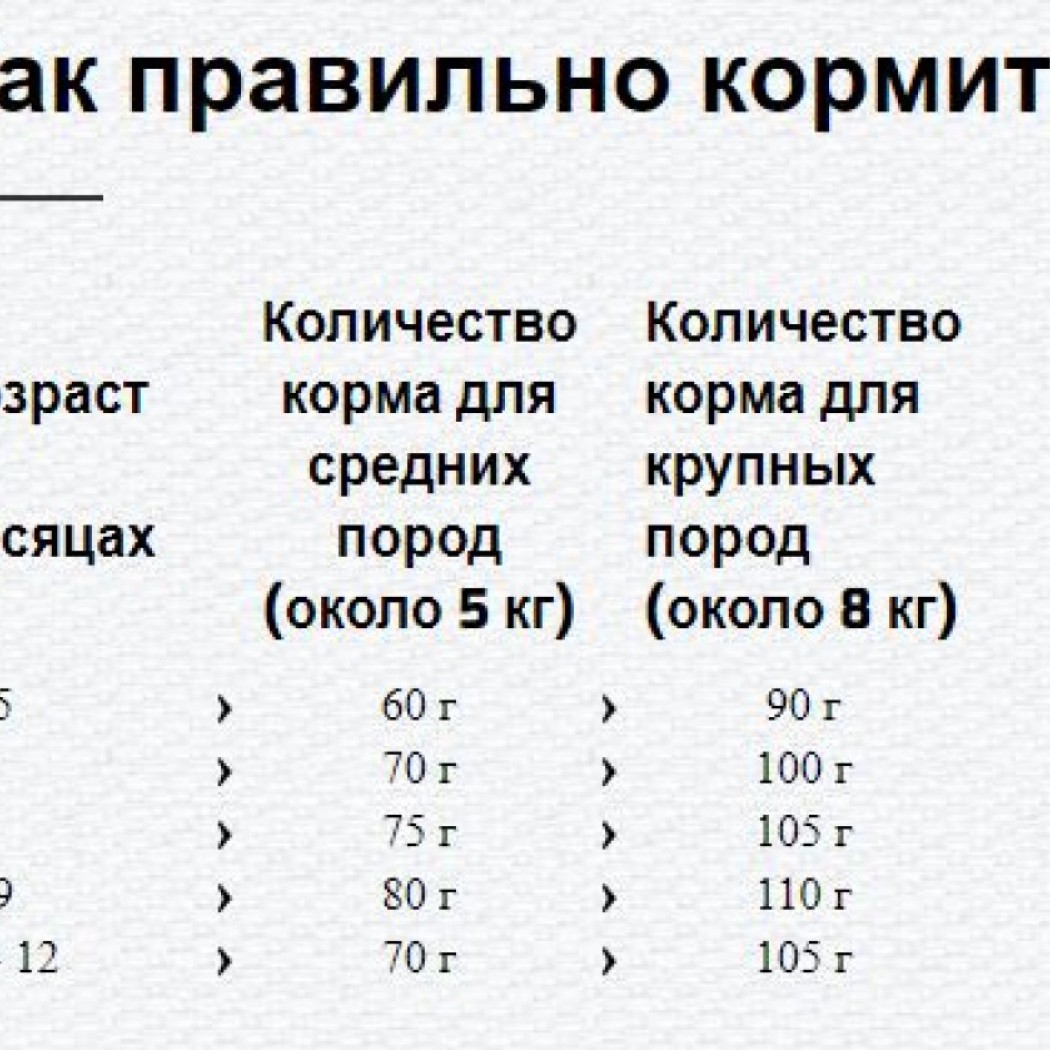 <p><strong>Happy Cat&nbsp;Supreme Junior Geflugel 1&nbsp;kg la cantar pentru pisoi cu pui</strong></p>