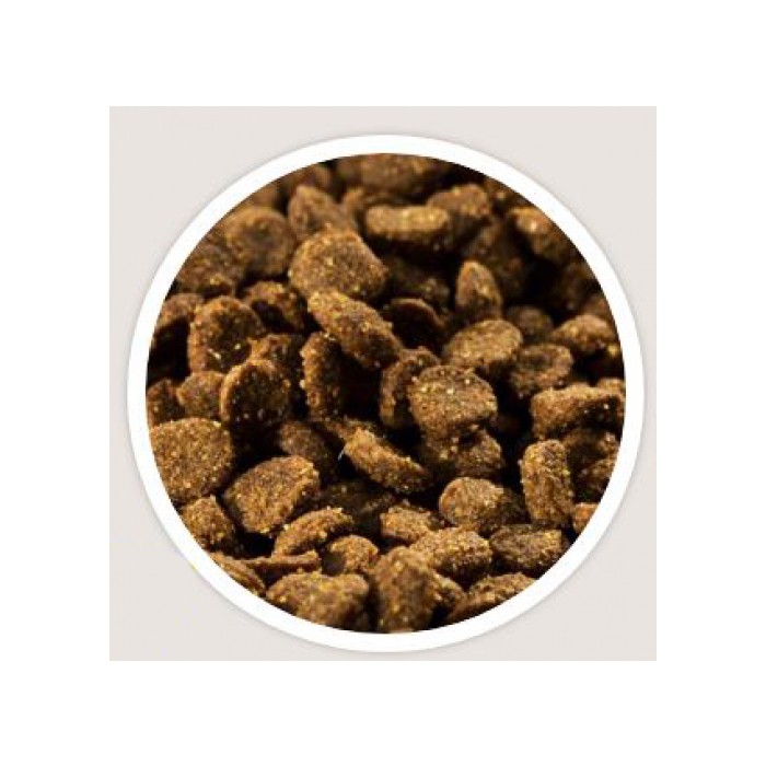 <p><strong>Happy Cat Supreme&nbsp;Adult Атлантический лосось 10 кг для взрослых кошек</strong></p>