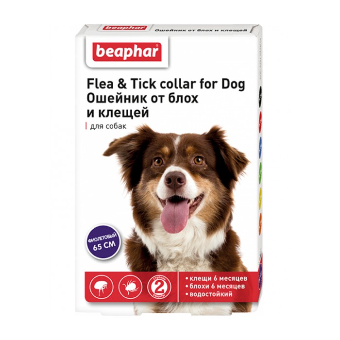 <p><strong>Ошейник Beaphar Flea & Tick collar for Dog от&nbsp;блох&nbsp;и&nbsp;клещей для&nbsp;собак, фиолетовый 65 см</strong></p>