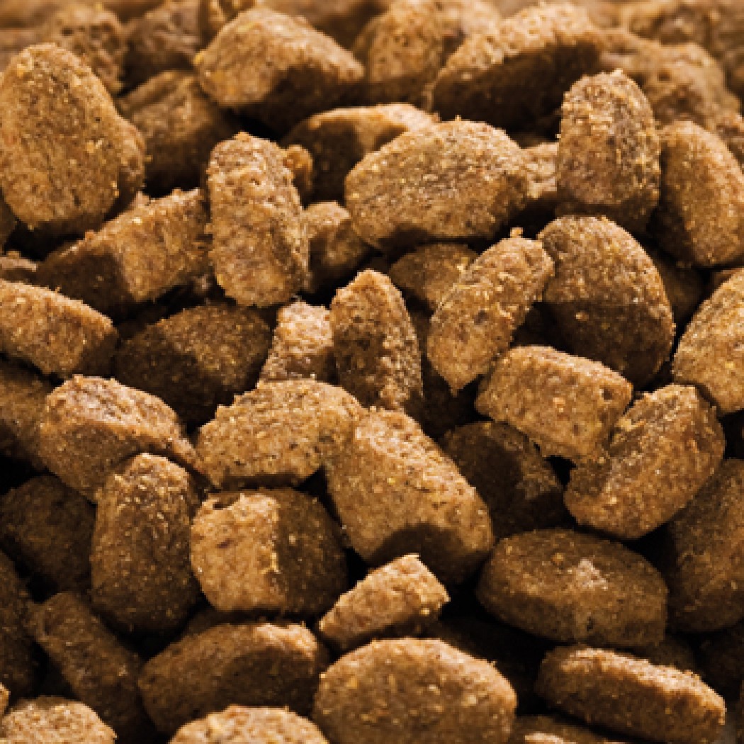 <p><strong>Happy Dog NaturCroq Ягненок с рисом&nbsp;15 кг&nbsp;содержит высококачественные и легкоусвояемые ингредиенты: вкусного ягненка, хорошо переносимый рис, а также ценные Омега-3 и Омега- 6-жирные кислоты из подсолнечного и рапсового масел &ndash; важно для здоровья кожи и блестящей шерсти.&nbsp;</strong></p>