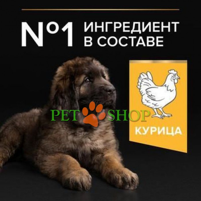 <p>Сухой полнорационный корм <strong>Purina Pro Plan Large Robust Puppy</strong>&nbsp;для щенков больших пород массивного телосложения&nbsp;с курицей также подходит для беременных и собак в период лактации.</p>