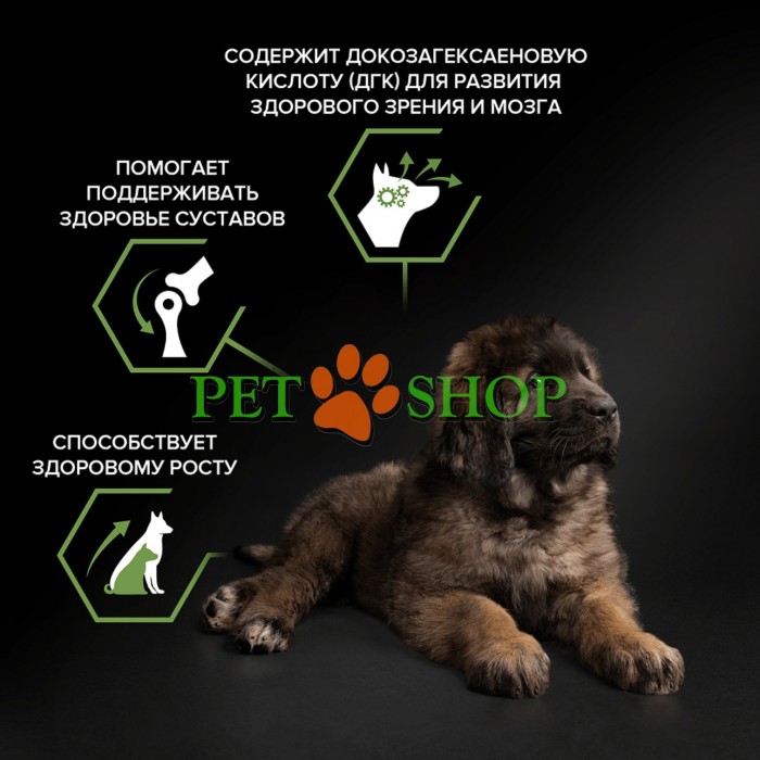 <p>Сухой полнорационный корм <strong>Purina Pro Plan Large Robust Puppy</strong>&nbsp;для щенков больших пород массивного телосложения&nbsp;с курицей также подходит для беременных и собак в период лактации.</p>