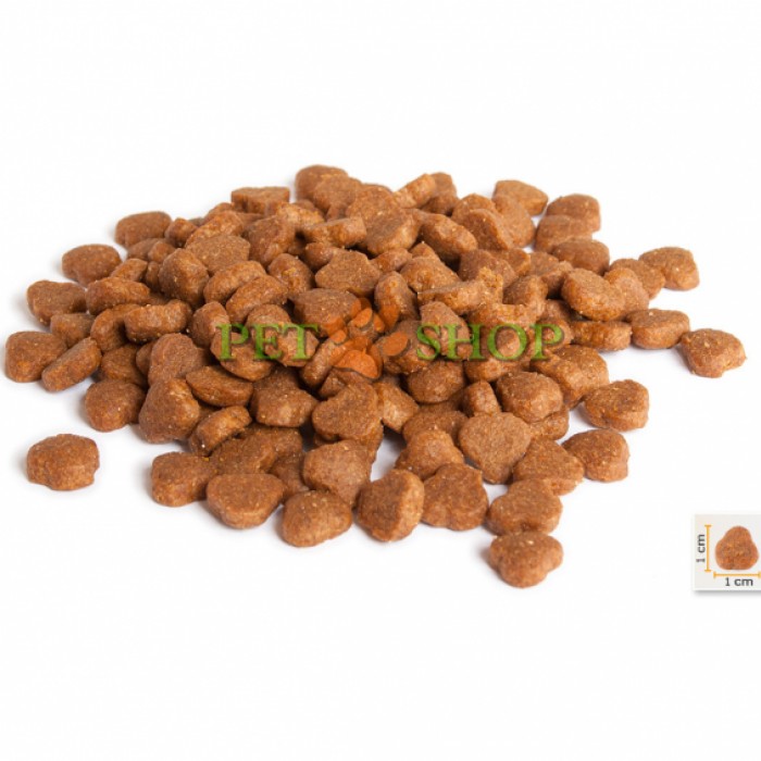 <p><strong>BonaCibo Adult Cat Lamb,&nbsp;Rice содержит оптимальный баланс белков, жиров и углеводов обеспечивает вашу кошку энергией и жизненными силами на протяжении всей жизни.</strong></p>