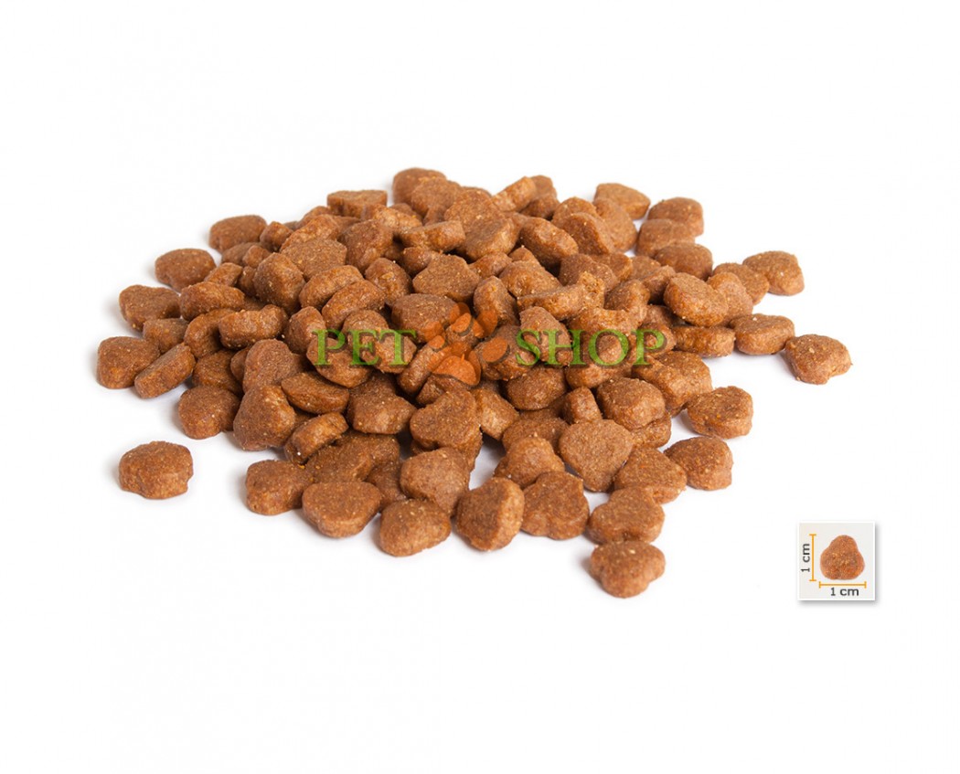 <p><strong>BonaCibo Adult Cat Lamb,&nbsp;Rice содержит оптимальный баланс белков, жиров и углеводов обеспечивает вашу кошку энергией и жизненными силами на протяжении всей жизни.</strong></p>