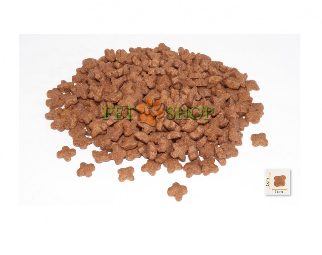 <p><strong>BonaCibo Kitten -&nbsp;сбалансированный и полнорационный сухой корм на основе мяса курицы, анчоусов и риса для котят возрастом до 12 месяцев, беременных и кормящих кошек всех пород.</strong></p>