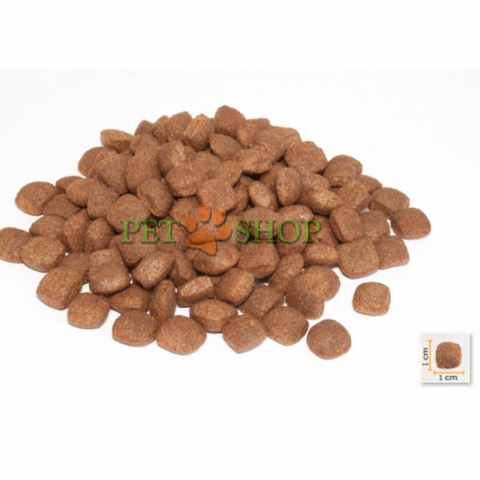 <p><strong>BonaCibo Puppy Lamb,&nbsp;Rice содержит оптимальный баланс белков, жиров и углеводов для обеспечения здорового роста за счет улучшения обмена веществ и развития костей в организме.</strong></p>