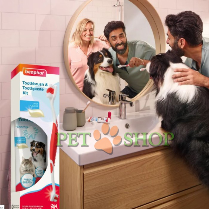 <p><strong>Удаляет налет с зубов и предотвращает образование зубного камня, обеспечивая свежее дыхание.</strong></p>