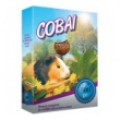 Cobai