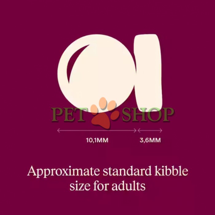 <p><strong>Полнорационный корм ACTIVE без злаков и картофеля для взрослых кошек с лососем и индейкой для взрослых кошек всех пород. -&nbsp;</strong><strong>Свежее мясо и субпродукты&nbsp; -</strong>&nbsp;<strong>Без куриного мяса и жира&nbsp; </strong>-&nbsp;<strong>Беззерновой</strong></p>