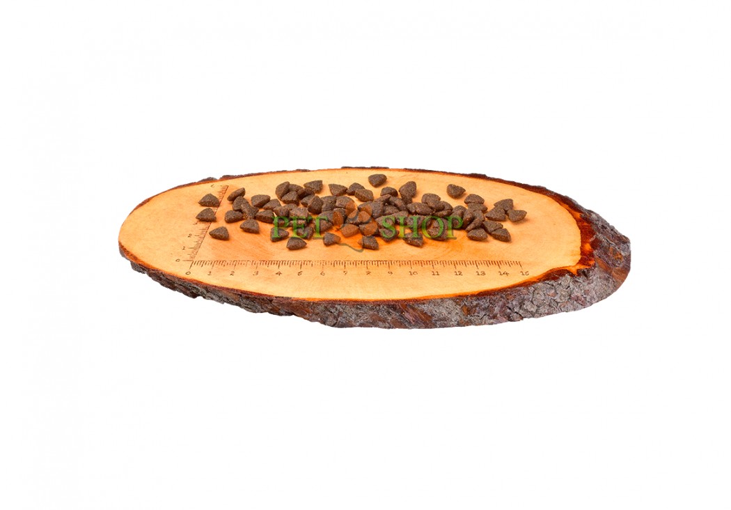 <p><strong>Formula fără cereale și cartofi pentru pisici adulte cu acces la aer liber. Hrană completă pentru pisici.</strong></p>