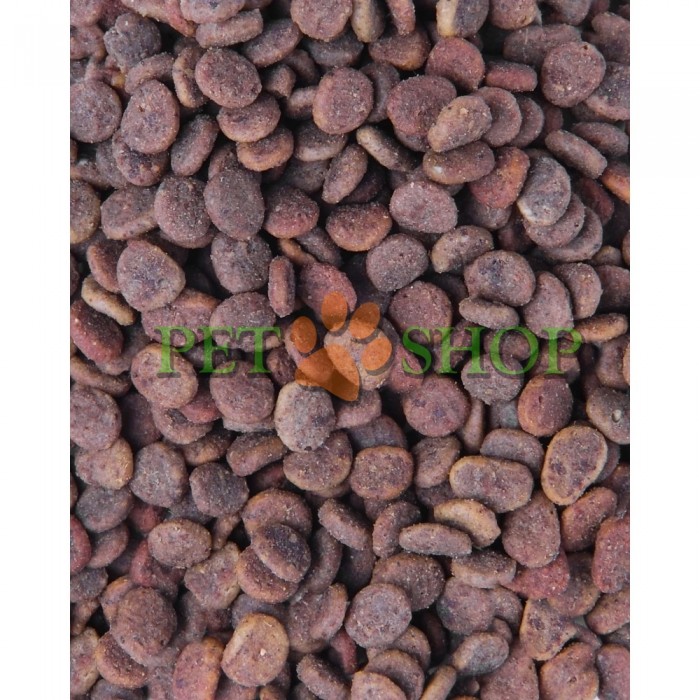 <p><strong>Carnilove True Fresh Cat Turkey&nbsp;&Icirc;MBOGĂȚITĂ CU CĂTINĂ ALBĂ, MERIȘOARE ȘI RĂDĂCINĂ DE GHIMBIR, 4.8 kg</strong></p>