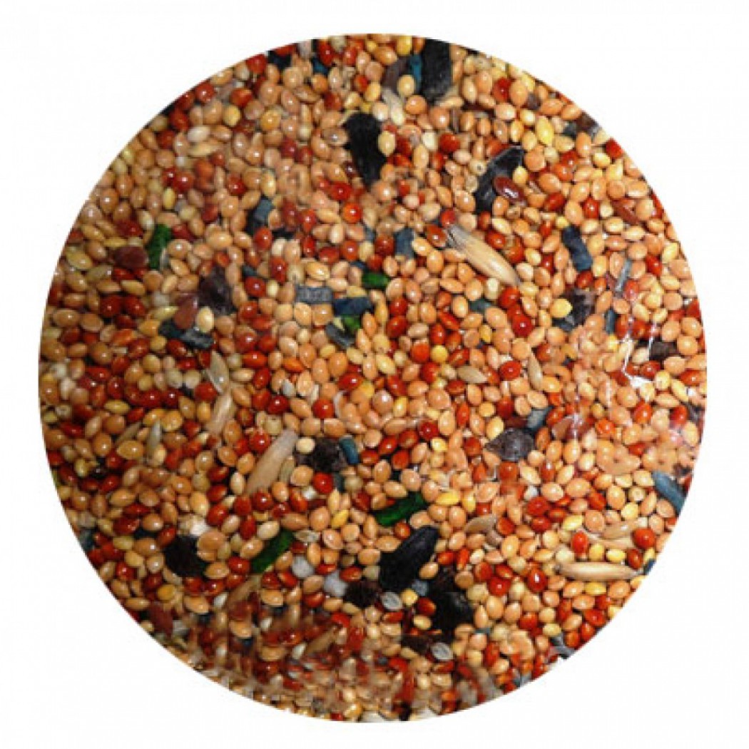 <p><strong>Полнорационный, сбалансированный корм для волнистых и средних попугаев Energy 500 гр</strong></p>