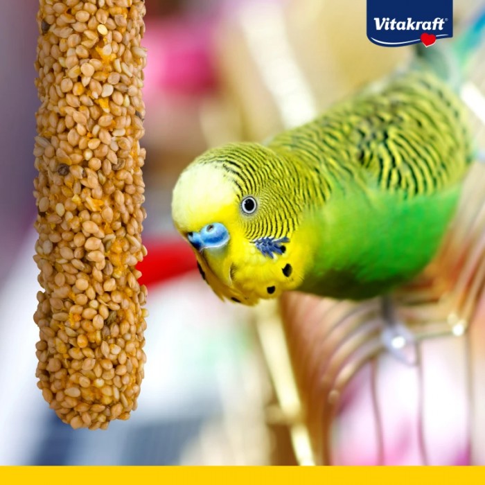 <p><strong>Функциональное лакомство для птиц во время линьки.</strong> Vitakraft Kr&auml;cker&reg; Feather Care &mdash; это три слоя нежной зерновой смеси на натуральном деревянном стержне с клипсой для крепления в клетке. Лакомство обогащено витаминами A, D3, аминокислотой DL-метионин и минералами (йод, цинк, марганец) &mdash; всё необходимое для поддержки оперения и кожи в период смены пера.</p>