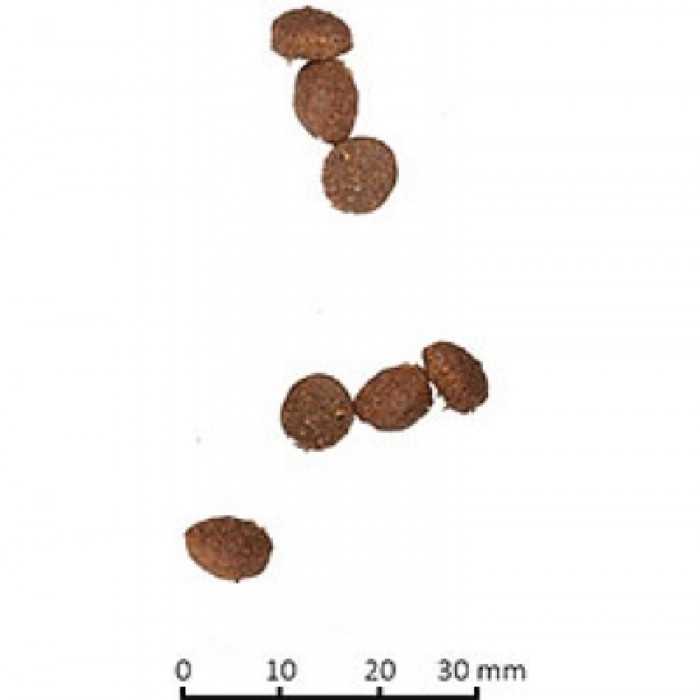 <p><strong>Farmina N&D LG LAMB & BLUEBERRY ADULT - низкозерновой корм для взрослых котов и кошек с мясом ягненка и свежей черникой, с небольшим добавлением зерновых (спельта и овес), специально разработанных с учетом плотоядной природы кошек. Данная диета предотвращает ожирение и диабет из-за низкого гликемического индекса.</strong></p>