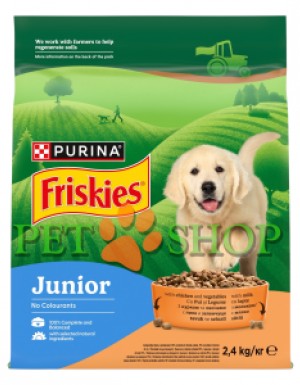 <p><strong>Formula FRISKIES Junior este special conceputa pentru a te ajuta sa mentii conditia fizica ideala a catelului tau.</strong></p>