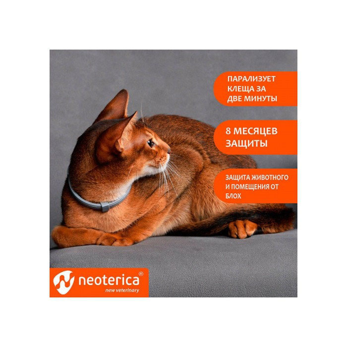 <p><strong>Rolf Club 3D Zgarda &Icirc;mpotriva căpușelor și puricilor pentru pisoi, Zgarda 40 cm</strong></p>