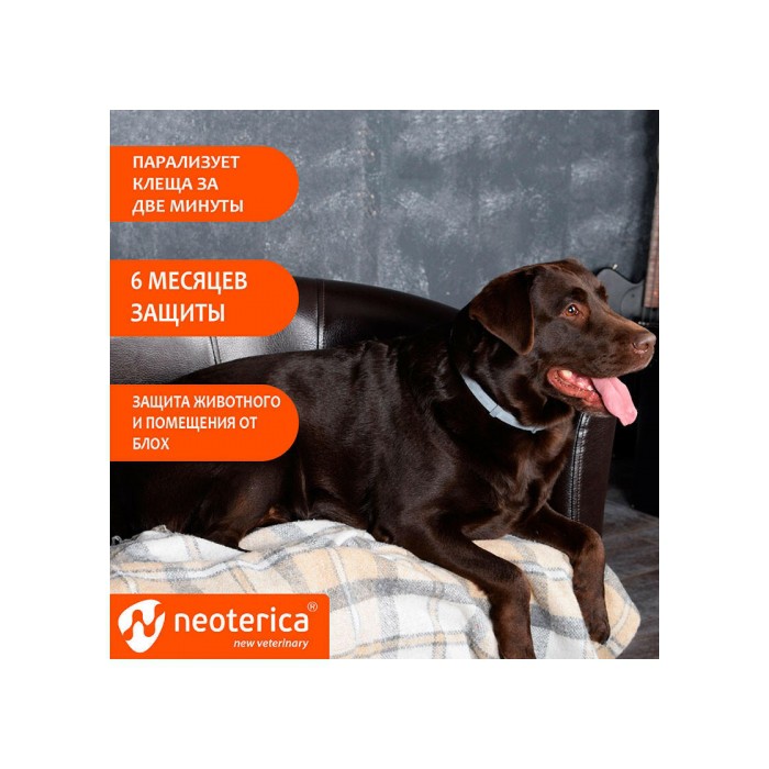 <p><strong>Rolf Club 3D Zgarda &Icirc;mpotriva căpușelor și puricilor pentru rase mari</strong><strong>, Zgarda 75&nbsp;cm</strong></p>