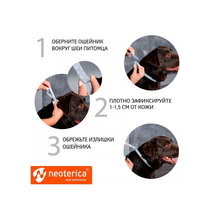 <p><strong>Rolf Club 3D Zgarda &Icirc;mpotriva căpușelor și puricilor pentru rase mari</strong><strong>, Zgarda 75&nbsp;cm</strong></p>