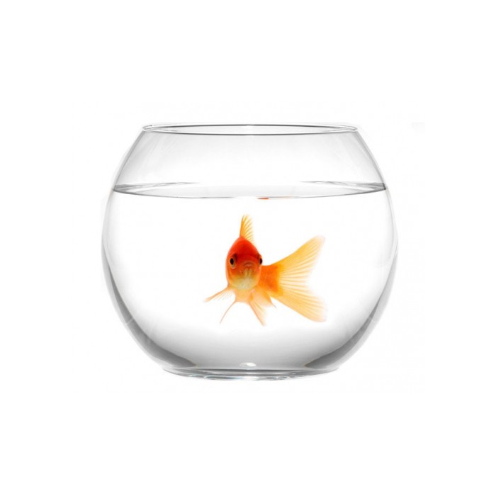 <p>Аквариум в виде шара</p>

<p>Диаметр: 15 см</p>

<p>Объём: 1,2 л</p>