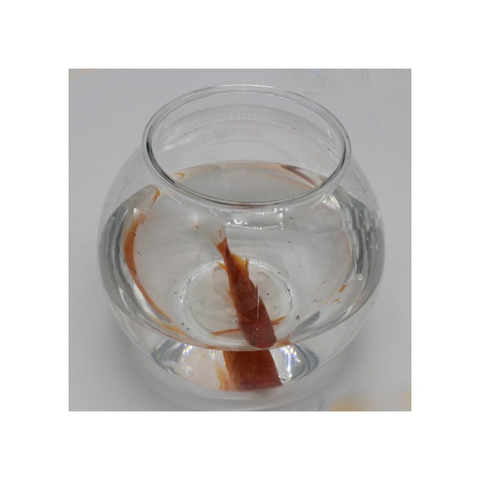 <p>Аквариум в виде шара, пластиковый</p>

<p>Диаметр: 11,7&nbsp;см Высота: 13 см</p>