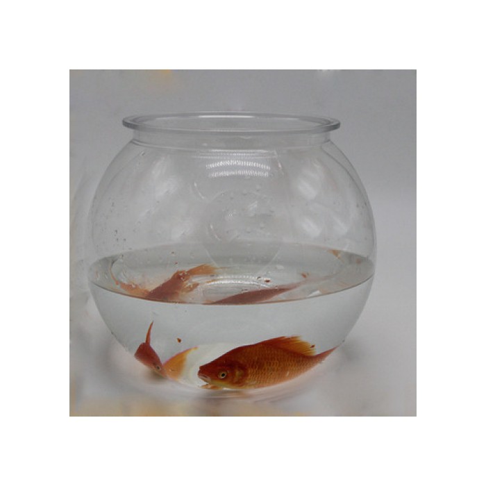 <p>Аквариум в виде шара, пластиковый</p>

<p>Диаметр: 11,7&nbsp;см Высота: 13 см</p>
