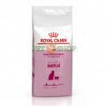 Royal Canin Mother, Babycat 1 kg