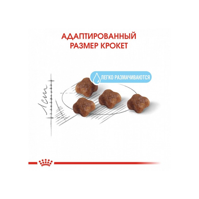 <p><strong>Продукт ROYAL CANIN&reg;&nbsp;Mother &&nbsp;Babycat удовлетворяет потребности кошек в&nbsp;питании в&nbsp;период беременности и&nbsp;лактации, а&nbsp;также котят в&nbsp;возрасте 1&ndash;4&nbsp;месяцев.</strong></p>