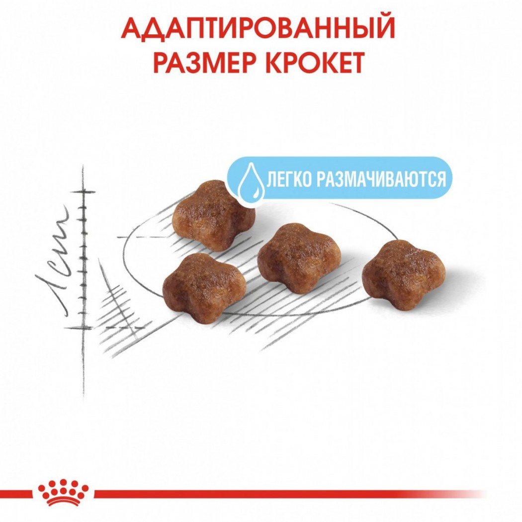 <p><strong>Продукт ROYAL CANIN&reg;&nbsp;Mother &&nbsp;Babycat удовлетворяет потребности кошек в&nbsp;питании в&nbsp;период беременности и&nbsp;лактации, а&nbsp;также котят в&nbsp;возрасте 1&ndash;4&nbsp;месяцев.</strong></p>