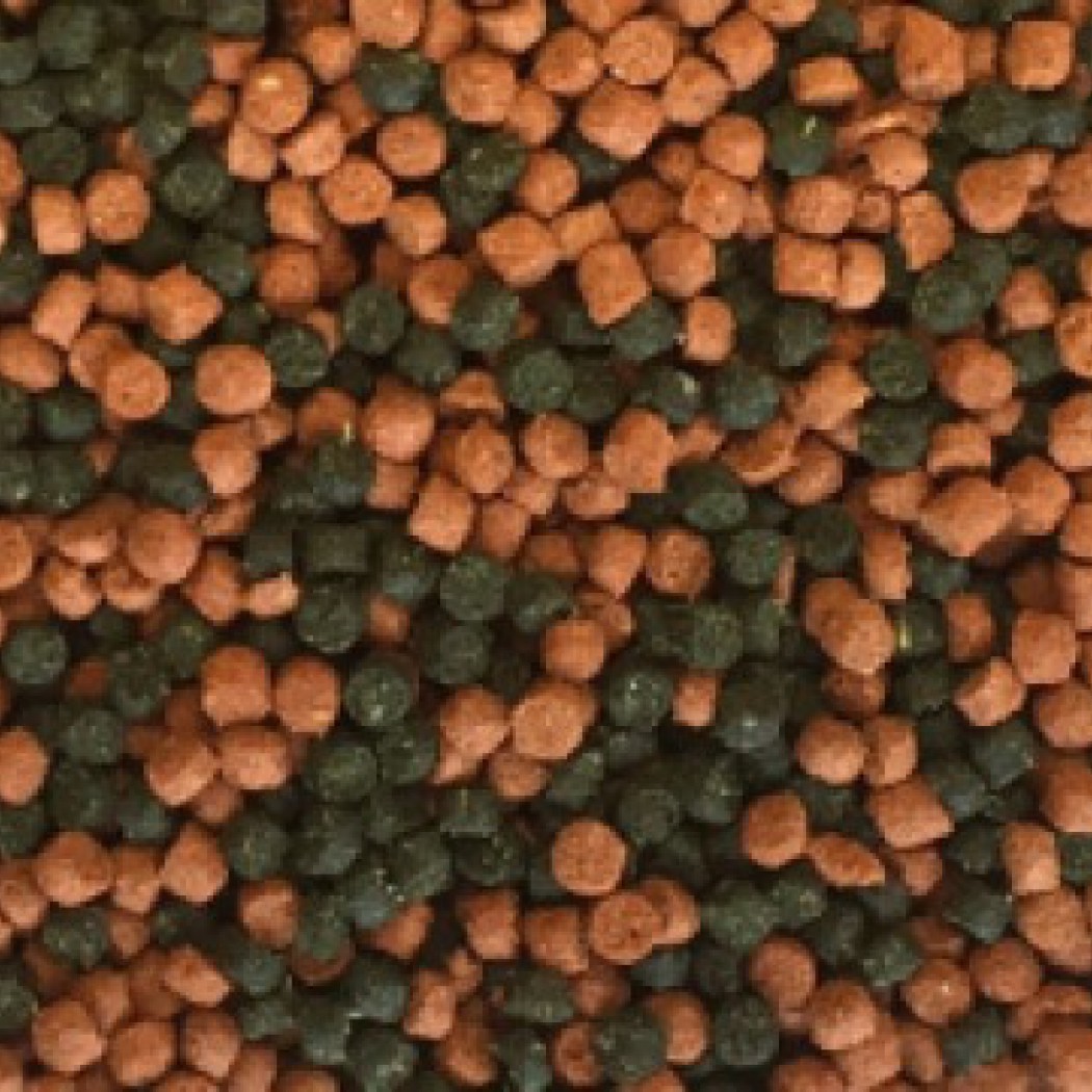 <p><strong>Комплексный гранулированный корм для маленьких и средних рыб семейства цихлид</strong></p>