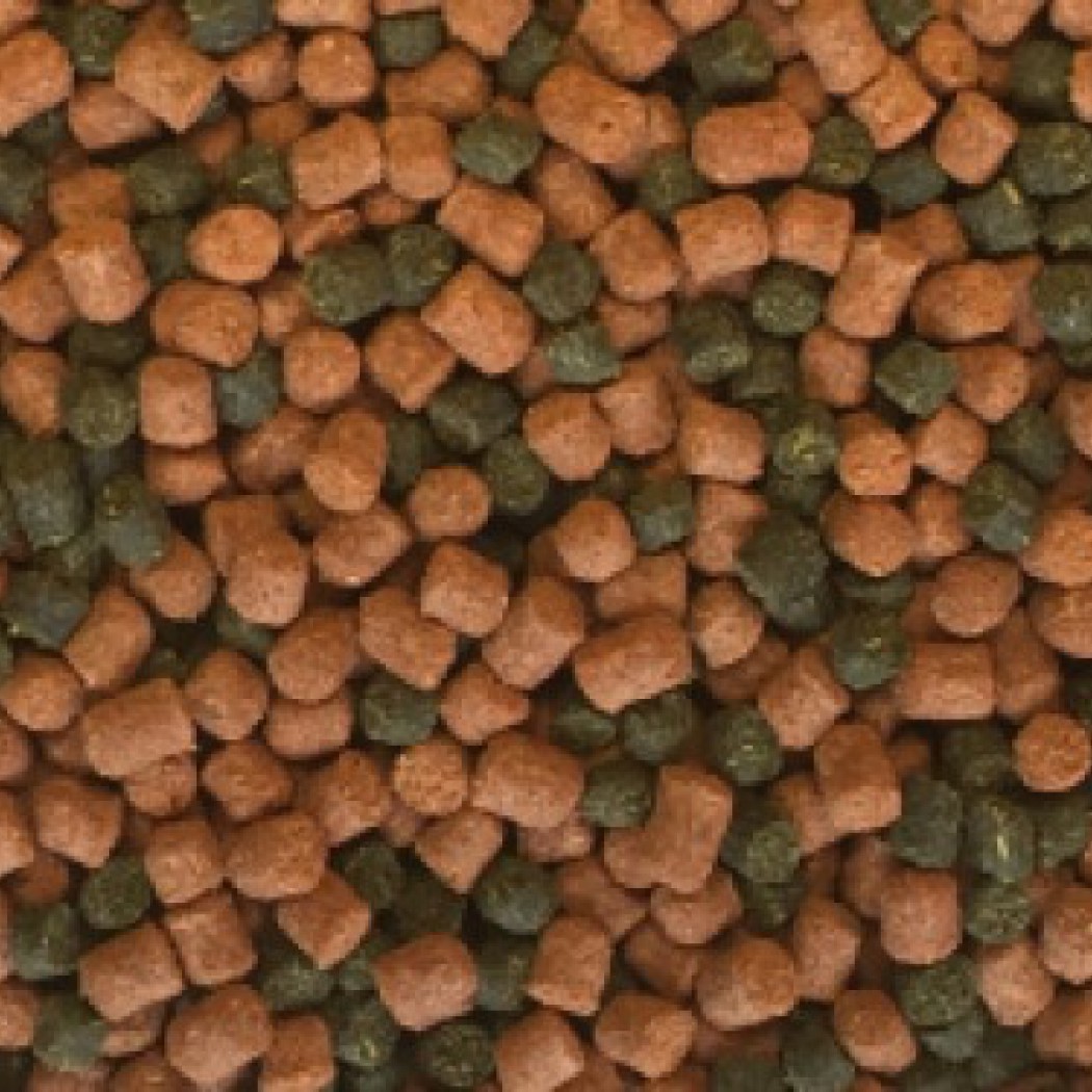 <p><strong>Комплексный гранулированный корм для маленьких и средних рыб семейства цихлид</strong></p>