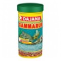 Dajana Gammarus 1 L