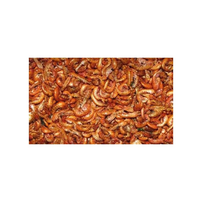 <p><strong>Высококачественный натуральный корм&nbsp;Dajana Gammarus&nbsp;(Даяна Гаммарус)&nbsp;для всех видов декоративных рыбок, водных черепах и террариумных животных.</strong></p>