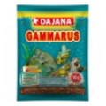 Dajana Gammarus 10 gr