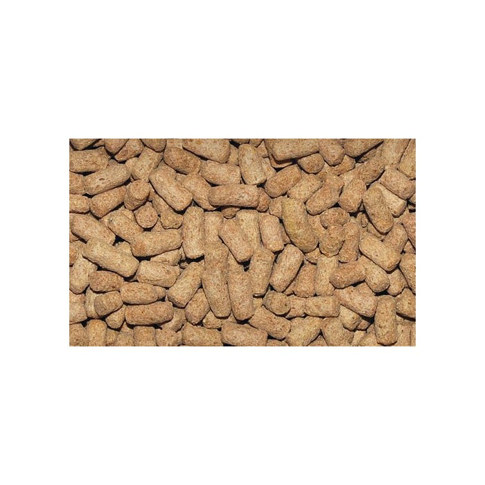 <p><strong>Полноценный сбалансированный корм&nbsp;Dajana Gammarus Sticks&nbsp;(Даяна Гаммарус Стикс)&nbsp;разработан с учетом особенностей жизнедеятельности водных черепах.</strong><br />
&nbsp;</p>