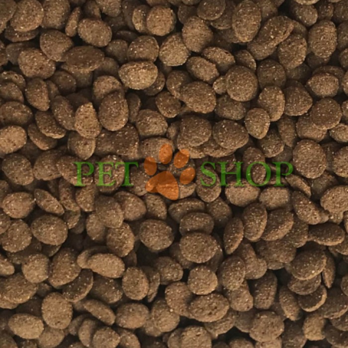 <p><strong>DAJANA TURTLE CHIPS Корм для водных черепах с цеолитом, уменьшает загрязнение воды 1000 мл - 400 грамм</strong></p>