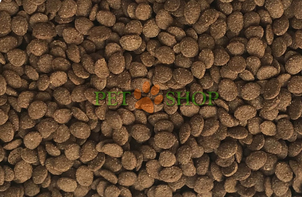 <p><strong>DAJANA TURTLE CHIPS Корм для водных черепах с цеолитом, уменьшает загрязнение воды 1000 мл - 400 грамм</strong></p>