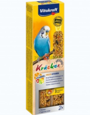 <p>Витаминное лакомство для птиц с мультивитаминным комплексом. Vitakraft Kr&auml;cker&reg; Multi-Vitamin &mdash; три слоя зерновой смеси на натуральном деревянном стержне с креплением для клетки. Обогащено витаминами, что способствует поддержанию здоровья оперения, кожи и иммунной системы.</p>