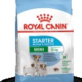 Royal Canin Mini Starter Mother, Babydog 1 kg