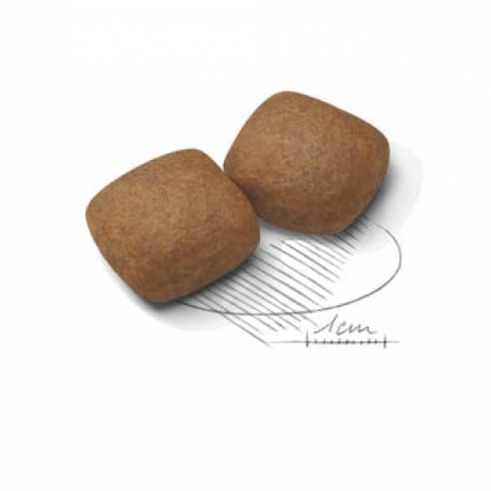 <p><strong>Корм сухой полнорационный для щенков очень крупных пород собак (вес взрослой собаки > 45 кг) в возрасте от 8 до 18/24 месяцев, 15 кг</strong></p>