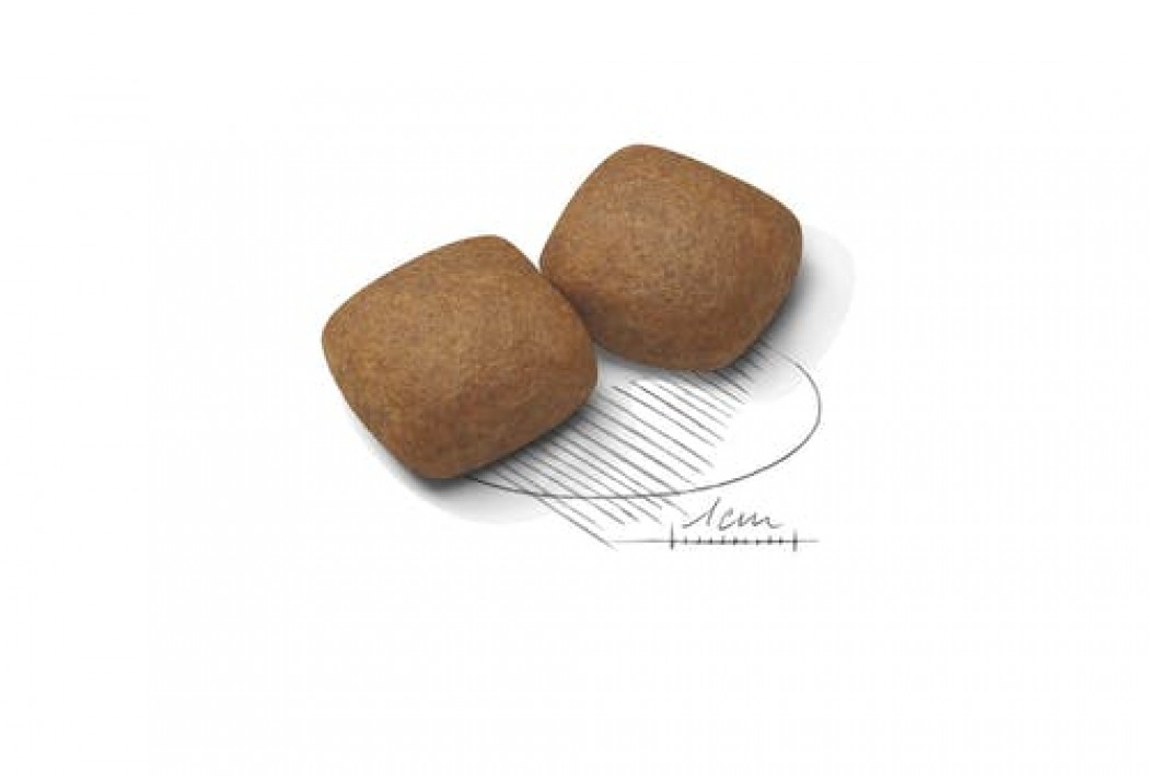 <p><strong>Корм сухой полнорационный для щенков очень крупных пород собак (вес взрослой собаки > 45 кг) в возрасте от 8 до 18/24 месяцев, 15 кг</strong></p>