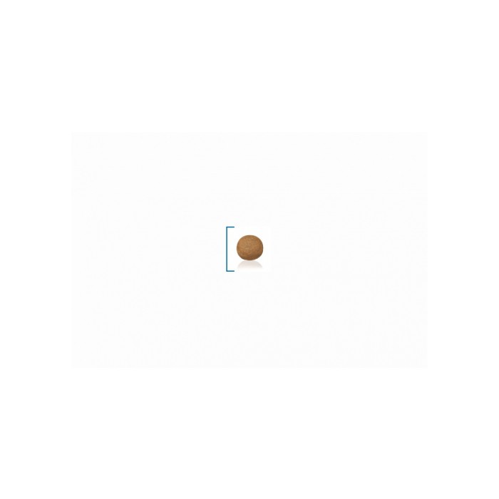 <p><strong>Полнорационный сухой корм для взрослых собак крупных размеров (вес собаки от 25 до 45 кг) в возрасте c 15 месяцев до 5 лет</strong></p>