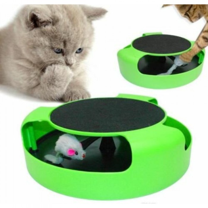 <p><strong>Интерактивные игрушки для кошек пробуждают у них живой интерес и занимают на долгое время.&nbsp;</strong></p>