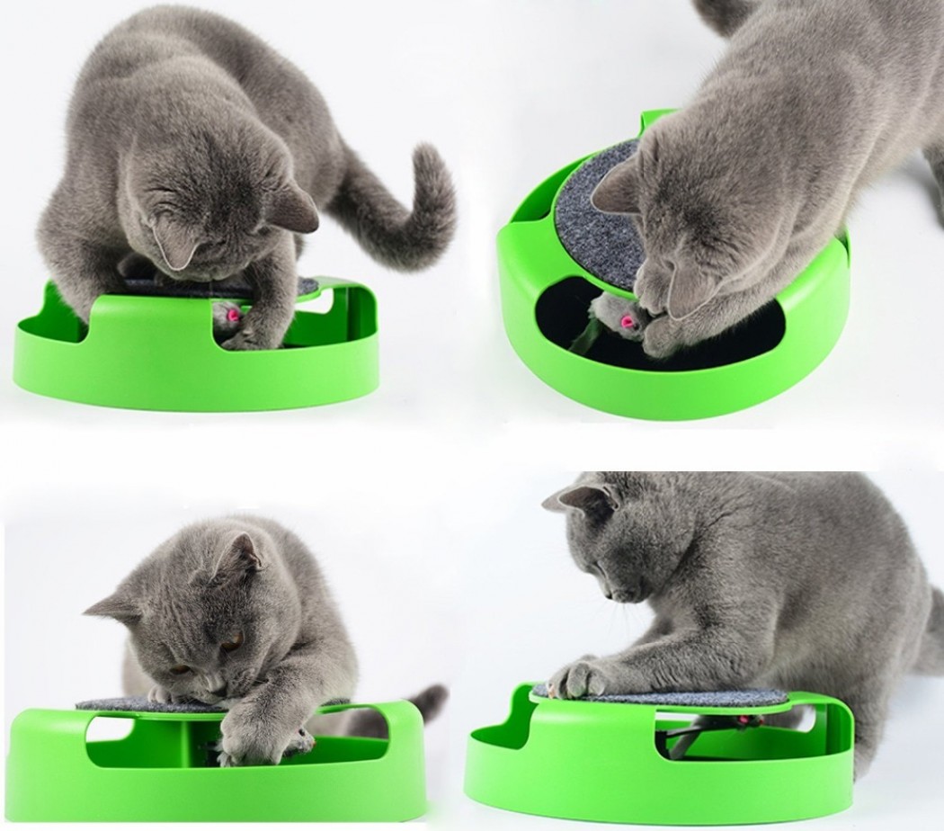 <p><strong>Интерактивные игрушки для кошек пробуждают у них живой интерес и занимают на долгое время.&nbsp;</strong></p>