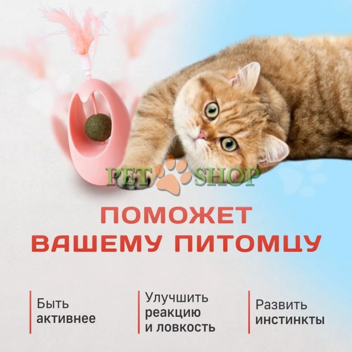<p><strong>Игрушка для кошек - неваляшка.</strong></p>